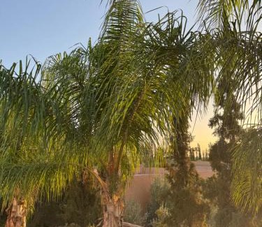 Aghouatim Villa | Villa Boho