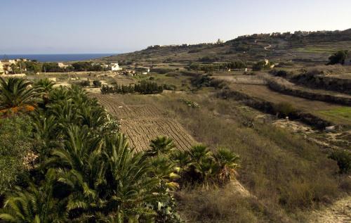 Ta' Għammar Villa | Villa Boomerang