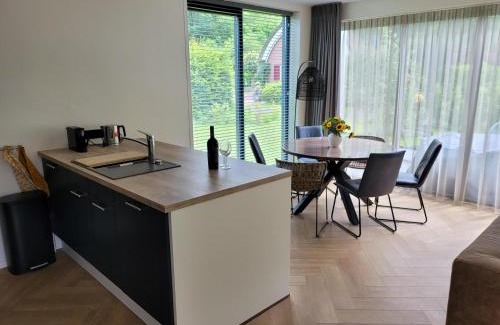 Gasselte Villa | Villa Bosanemoon met Sauna | 6 personen