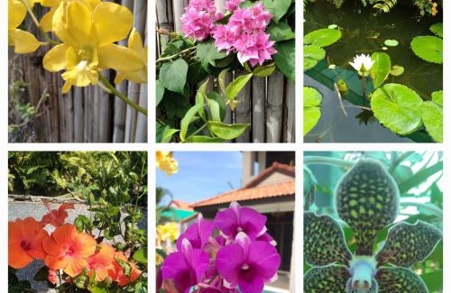 Ko Lanta House | Villa Brassia 2 bedrooms