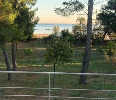 Montesilvano Villa | villa california -appartamento in villa privata
