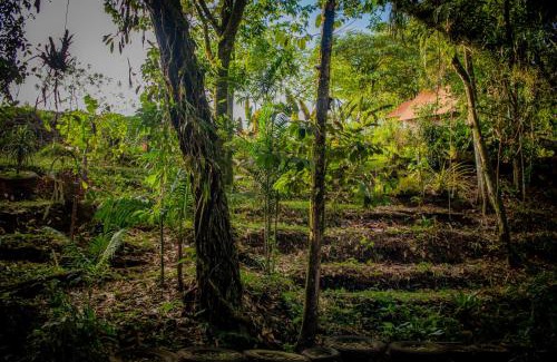 Venecia Cabin | Villa Campo's