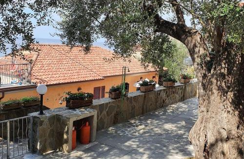 Marina Lido House | Villa Carmen
