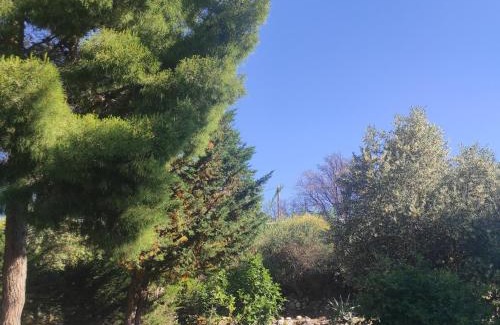 Millas House | Villa Casaleno gite Le Loriot avec wi-fi
