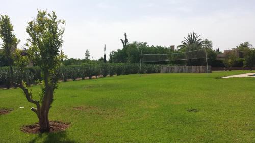 Issen Villa | Villa Catalpas