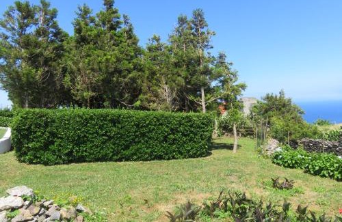 Santa Cruz das Flores Villa | Villa Cedros