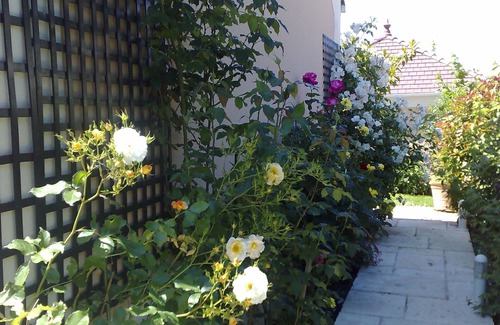 Magny-le-Hongre Villa | Villa Cendrillon in disneyland