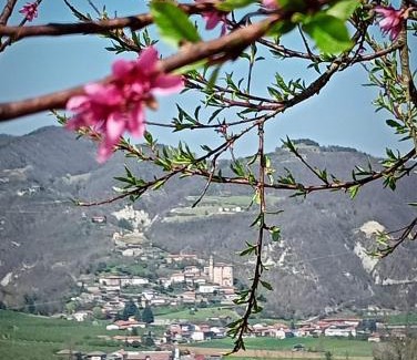Vesime Bed & Breakfast | Villa Chiaromonte