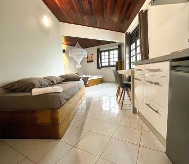Le Francois Apartment | Villa Clémence