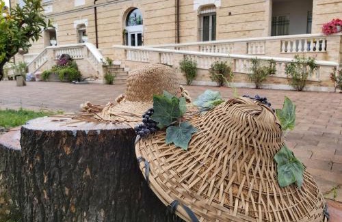 Cossignano Apartment | Villa Contessina