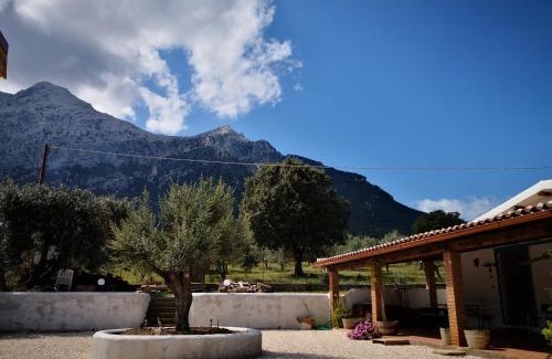 Oliena House | Villa Cusidore