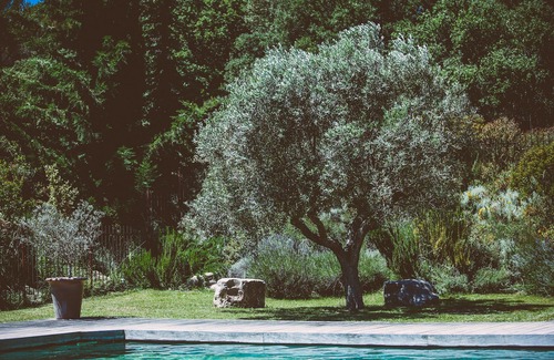 Saint-Gilles Villa | Villa D'exception Dans un Domaine à Proximité de Nîmes