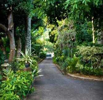 Beau Vallon House | Villa de Roses