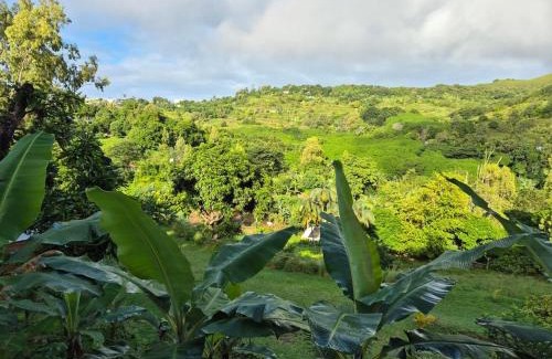Coromandel House | Villa detente 2
