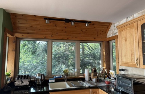 Alpine Lake Cabin | Villa deTuar - lake views and pet friendly!