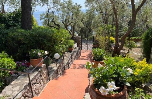 Nerano Apartment | Villa Donna Giulia