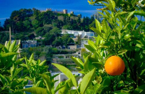 Capri House | Villa Dorothee