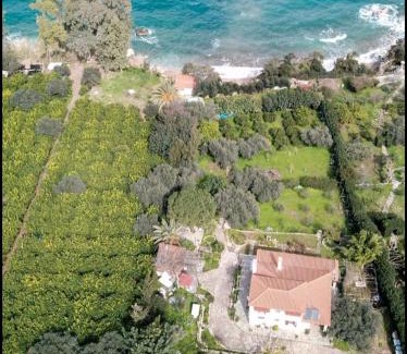 Vassilias Villa | Villa Eirini with sea view