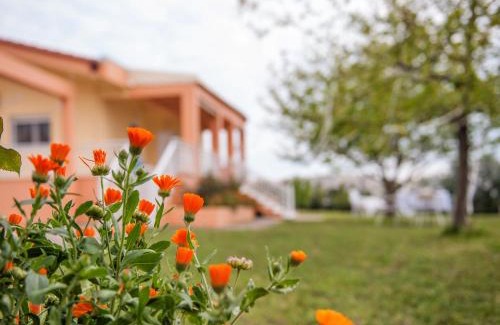 Komotini Apartment | Villa Elaia Mare
