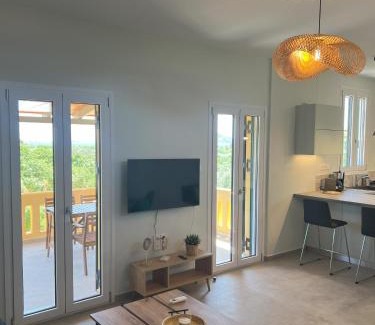 Aegina Town House | Villa Eleni Aegina