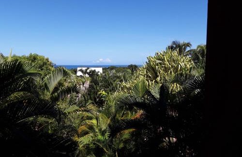 Deshaies Apartment | Villa et Gites Le Safran - Le Triskell