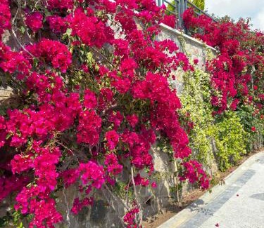 Yalikavak Villa | Villa Falcon with Swimming Pool and Great Views in Yalikavak Bodrum