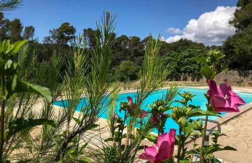 Laure-Minervois Villa | Villa familiale près de Laure-Minervois avec piscine