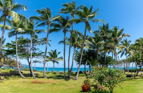 Las Galeras Villa | Villa Flamboyan