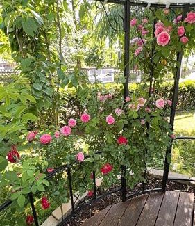 Bad Liebenstein Apartment | Villa Florentine