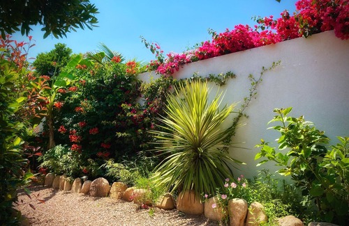 Lecci House | Villa Forana🏡Warm welcome 🧡 heated pool 🌞beach 5' away 🏖️