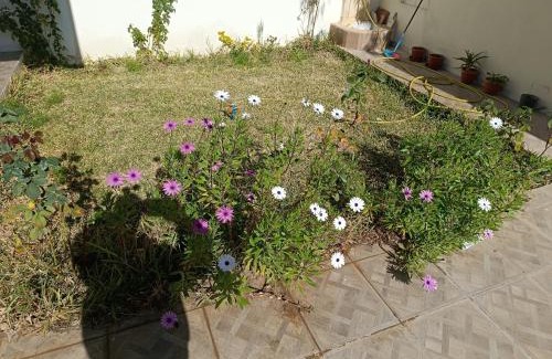 Flamants roses Villa | Villa foundou gammarth