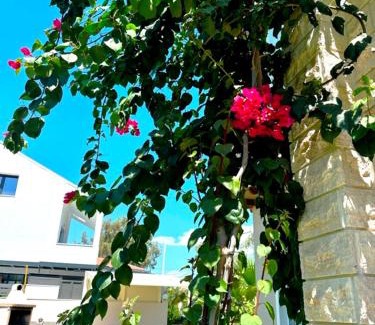 Nikita House | Villa Galina