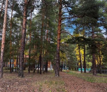 Didi Ateni Villa | Villa