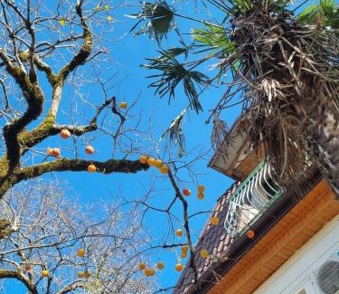 Tkibuli House | Villa Gelati