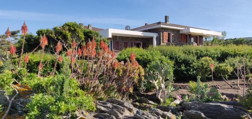 Stintino Apartment | Villa Gino