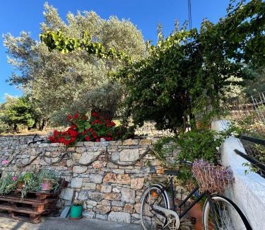 Kerveli Apartment | Villa Hector