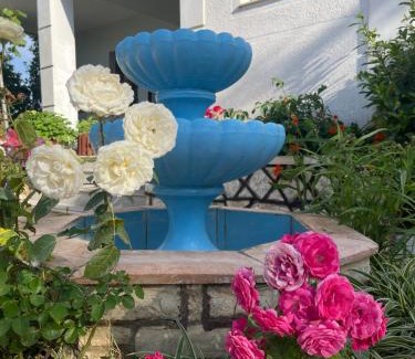 Aliko Hotel | Villa HENA