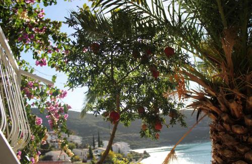 Neum Apartment | Villa Hortus
