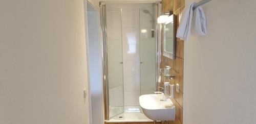 Barental Apartment | Villa Hubertus - Wohnung 5, Feldberg, Titisee, Schluchsee