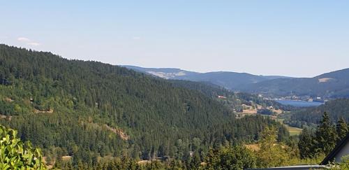 Barental Apartment | Villa Hubertus - Wohnung 2, Feldberg, Titisee, Schluchsee