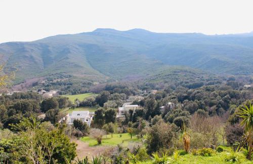 Sisco Apartment | Villa I Bugni