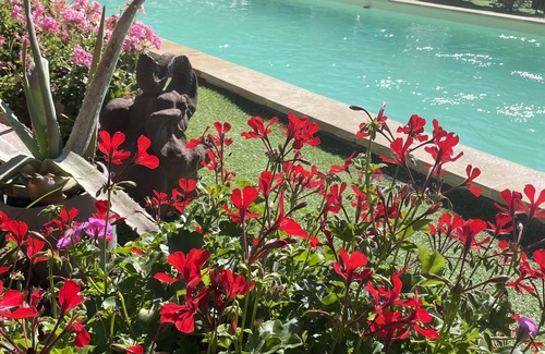 Saint-Saulge Villa | Villa in a green setting in the Morvan foothills