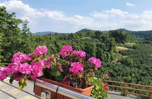 Cravanzana Villa | Villa in Piedmont, near Alba and Barolo, in the middle of the famous hazelnut groves