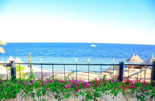 Sharm El Sheikh Villa | villa in Sharm El sheikh2