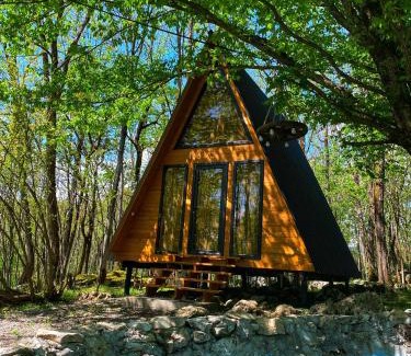 Tsqaltubo Cabin | Villa Ioseliani