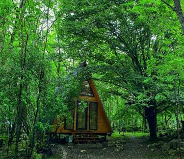 Tsqaltubo Cabin | Villa Ioseliani