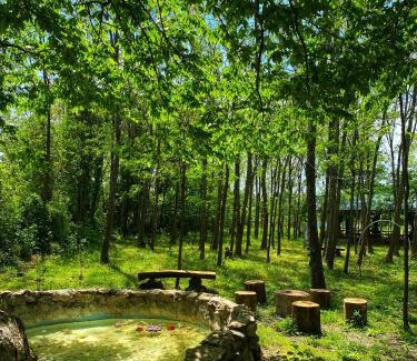 Tsqaltubo Cabin | Villa Ioseliani
