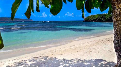 Las Galeras Villa | Villa Ixora - Ocean Front
