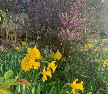 Saint-Valery-en-Caux House | Villa Julia Marie