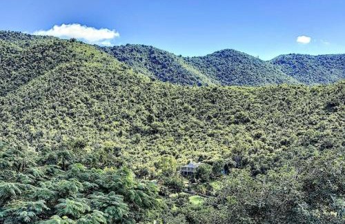 Rambaud Villa | Villa Jungle Paradise, space and privacy, at 5 min from the beach